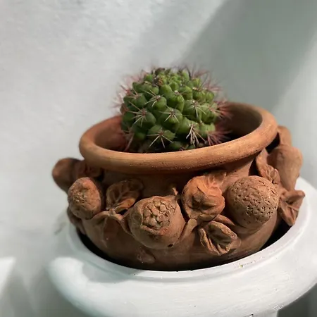 Rena Bianca Apartament Baja Sardinia