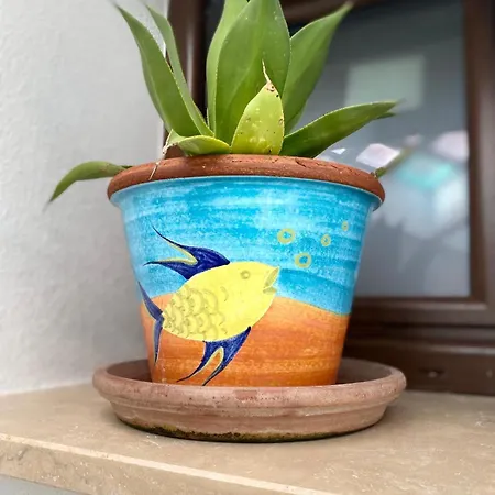 Apartament Rena Bianca Baja Sardinia